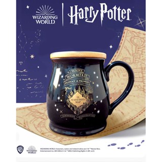 Harry Potter Marauders Map Mug Color Chang