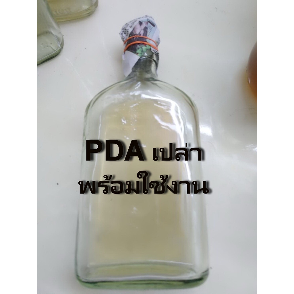 วุ้น PDA (POTATO DEXTROSE AGAR) นึ่งฆ่าเชื้อแล้วพร้อมใช้’ สำหรับเพาะเชื้อเห็ดหรือเชื้อรา #PDA #วุ่น PDA #เชื้อเห็ด ราคา ถูกที่สุด ดีลบีเคเค