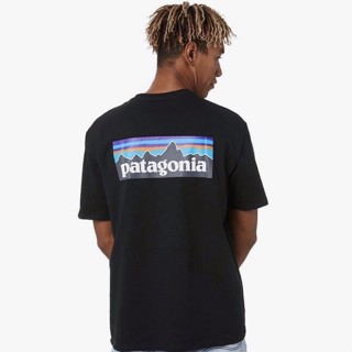 เสื้อยืด patagonia P6 ของแท้นำเข้า มือ1 ราคาถูก