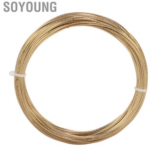 Soyoung Car Glass  Wire Windshield Cutting 82ft Long for  Tool