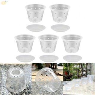 【VARSTR】Transparent Orchid Pot with Root Control Technology and Room for Growth (5 Pack)