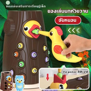 ของเล่นนกหัวขวาน แบบแม่เหล็ก เกมตกปลา ของเล่นเสริมทักษะ ของเล่นเสริมการเรียนรู้เด็ก ของเล่นเด็ก พัฒนาการสําหรับเด็ก