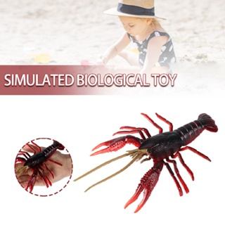 Simulation Marine Animal Model Hermit Crab Lobster Children Educational Toy