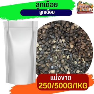 Thai millet ลูกเดือย  อาหารนกและสัตว์ฟันแทะ (แบ่งขาย250G/ 500G / 1KG)