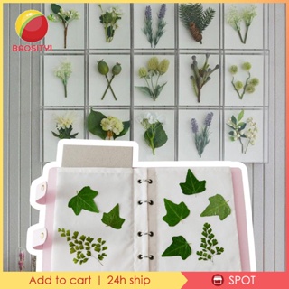 [Baosity1] สมุดกดดอกไม้ 6 ชั้น ขนาด 27x32 ซม. อุปกรณ์เสริม สําหรับงานฝีมือ DIY