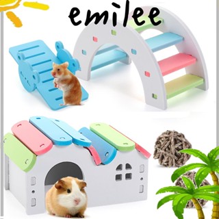 EMILEE ของเล่นไม้ ขนาดเล็ก สีรุ้ง สําหรับหนูแฮมสเตอร์