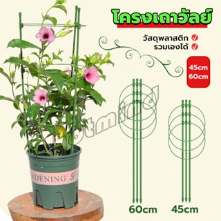 HD โครงเถาวัลย์ เสามะเขือเทศ โครงปลูก อุปกรณ์สำหรับพืชไม้เลื้อย 45cm 60cm plant trellis