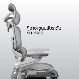 เก้าอี้เพื่อสุขภาพ เฟอร์ราเดค Supreme Gray สีเทา