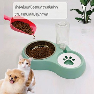 ชามใส่อาหารสัตว์เลี้ยง สวยงาม และคุณภาพจริง