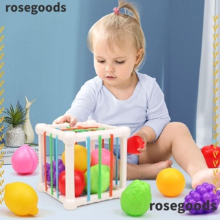 Rosegoods1 บอร์ดทดลอง มอนเตสซอรี่ ของเล่นเสริมการเรียนรู้เด็ก