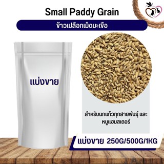 ข้าวเปลือกมะเขือ Small Paddy Grian อาหารนก กระต่าย หนู กระต่าย กระรอก ชูก้า และสัตว์ฟันแทะ (แบ่งขาย 250G / 500G / 1KG)