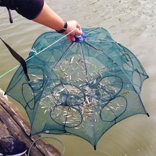 ที่ดักปลา ดักกุ้ง ที่ดักกุ้ง 4 6 8 ช่อง มุ้งดักปลา มุ้งดักกุ…