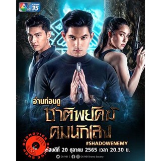 DVD ชาติพยัคฆ์ คมนักเลง 2565 (เสียง ไทย | ซับ ไม่มี) DVD