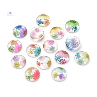 ดอกไม้แห้ง แก้ว Gabochons ครึ่งวงกลม / โดม คละสี 29.5~30x8 มม. 5 ชิ้น