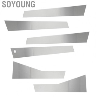 Soyoung Car B Pillar Panel Molding  Solid Scratch Resistant 6PCs Car Center Pillar Trim Exquisite Appearance  for Car