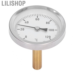 Lilishop 63mm Dial  Barbecue Pointer Type  0120°C Bimetallic