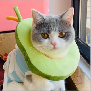 🧡พร้อมส่ง🧡 คอลล่ากันเลีย คอลล่าหมอนนุ่ม หมอนรองคอน้องแมว Avocado Peach Circle Cat