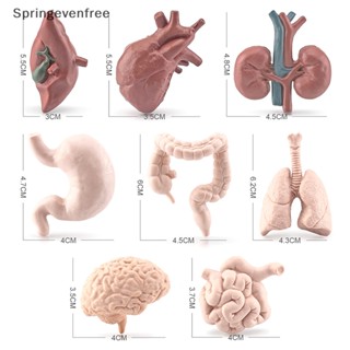 Spef โมเดลฟิกเกอร์ รูปหัวใจจําลอง ขนาดเล็ก สําหรับตกแต่งบ้าน 1 ชุด