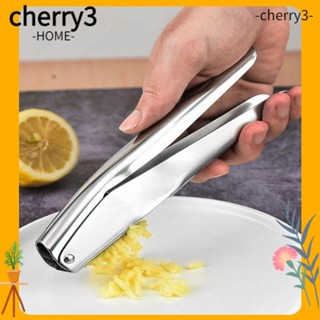 Cherry3 เครื่องบดกระเทียม สเตนเลส สีเงิน สําหรับร้านอาหาร