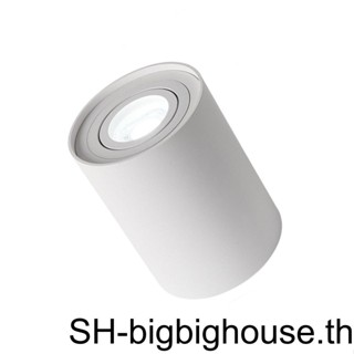 【Biho】โคมไฟติดเพดาน Led 1 ดวง ปรับมุมได้ สีขาวอบอุ่น สําหรับห้องนั่งเล่น ห้องโถง