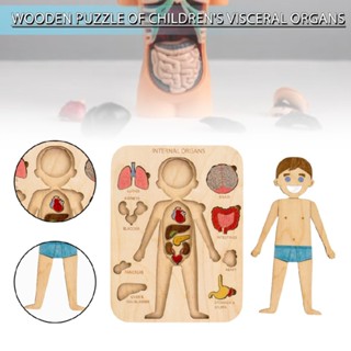 Internal Organs Wooden Puzzles for Kids Preschool Game Learning Educational Toys