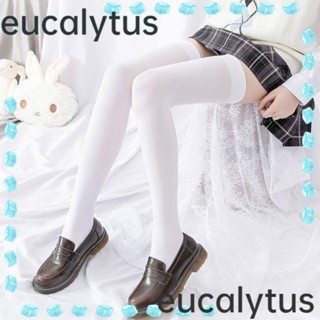 Eucalytus1 ถุงน่องยาว แบบบาง ยืดหยุ่นสูง สไตล์ญี่ปุ่น