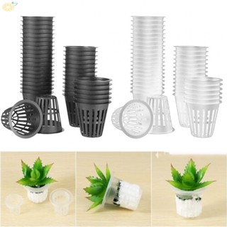 【VARSTR】Plant Net Cup Gardening Mesh Pot Net Cup Net Duty Set 40Pcs Black White