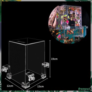 [Freneci] ตู้ปลา อะคริลิคใส แรงดันลบ สําหรับปลาดุดัน ทอด แรกเกิด