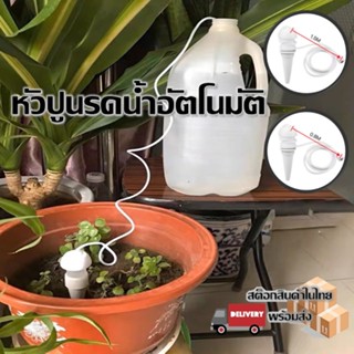 การรดน้ำอัตโนมัติ หัวปล่อยน้ำลงดินอัตโนมัติ ใช้ง่ายสะดวกสบาย…