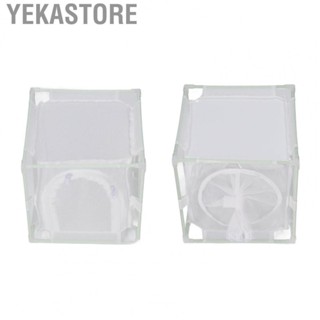 Yekastore Insect Observation Cage Convenient To Store White Cage Mesh for