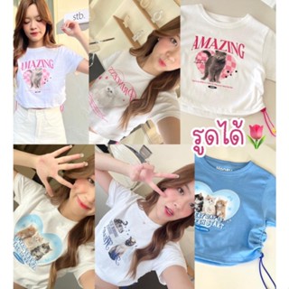 Cutest Store รวมมิตรเสื้อครอปรูดข้าง ลายน้องหมาน้องแมว น่ารักสีสันสดใสสุดๆ