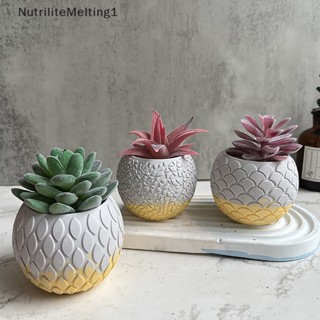 [NutriliteMelting1] แม่พิมพ์ซิลิโคน รูปเกล็ดปลา สําหรับปลูกซีเมนต์ ปูนปลาสเตอร์ DIY