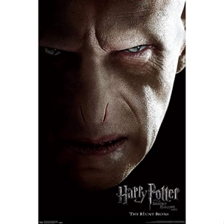 โปสเตอร์ผ้าใบ ลาย Harry Potter and The Deathly Hallows: Part Voldemort One Sheet สําหรับตกแต่งผนังบ้าน