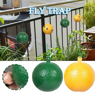 Sticky Fly Traps Outdoor Hanging Insect Catcher Fruit Fly Trap Gnat Trap Ball