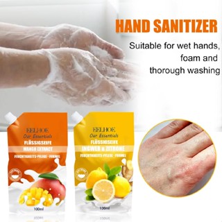 100ml Liquid Hand Soap Refill Pouch Ginger Lemon Mango Scent Liquid Hand Wash