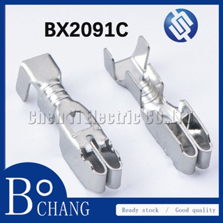 Bochang ขั้วต่อฟิวส์ G262 สําหรับ VW Audi BX2091C 50 ชิ้น