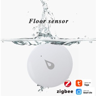 Zigbee tuya กราฟฟิตี้เซนเซอร์ตรวจจับการรั่วไหลของน้ําอัจฉริยะ