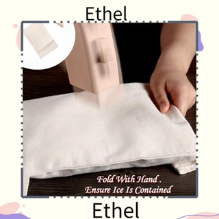 Ethel1 กระเป๋าน้ําแข็ง ผ้าแคนวาส ทรงสี่เหลี่ยมผืนผ้า เป็นมิตรกับสิ่งแวดล้อม ทนทาน ใช้ซ้ําได้ 4 ชิ้น