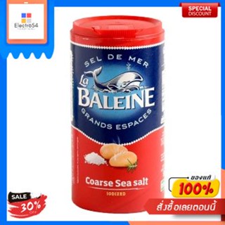 Coarse Salt La Baleine 500 G