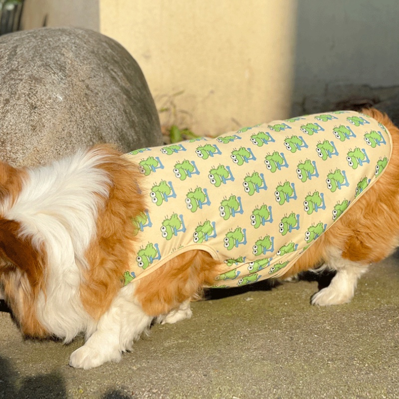 รูปภาพ 9