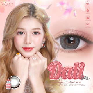 คอนแทคเลนส์ เลนส์ Hydrogel รุ่น Dali บิ๊กอาย (Rozelens)