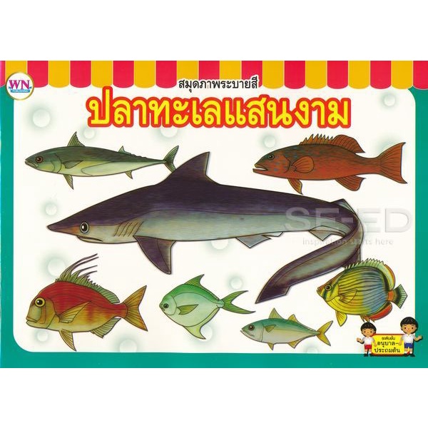 Bundanjai (หนังสือเด็ก) สมุดภาพระบายสี ปลาทะเลแสนงาม