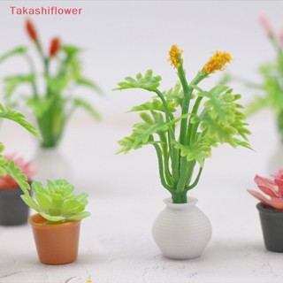 (Takashiflower) กระถางต้นไม้จิ๋ว สีเขียว สําหรับตกแต่งบ้านตุ๊กตา