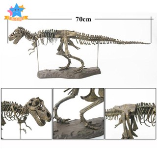 [Edstars] โมเดลโครงกระดูกไดโนเสาร์ ขนาด 70x12x22 ซม. สําหรับเด็ก