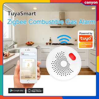 Zigbee Smart Gas Leakage Detector การตรวจจับสถานะการรั่วไหลของก๊าซธรรมชาติตามเวลาจริง App Push Notification Alert Home Security Alarm System canyon