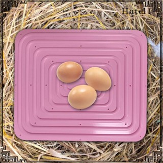 [Hatel] Chicken Nesting Pad, Chicken Nest Pad, Nesting Laying Mat Chicken Coop Mat Chicken Bedding for Hatchery Box Hen Coop