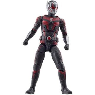 Hasbro MARVEL Marvel Legends Series Ant-Man, Ant-Man &amp; Wasp: Quantomania 6 inch (15 cm) Size Action Figure, Ages 4+ F6573 Authentic Product[Direct from Japan]