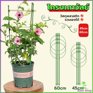 SIAM โครงเถาวัลย์ เสามะเขือเทศ โครงปลูก อุปกรณ์สำหรับพืชไม้เลื้อย 45cm 60cm plant trellis New~