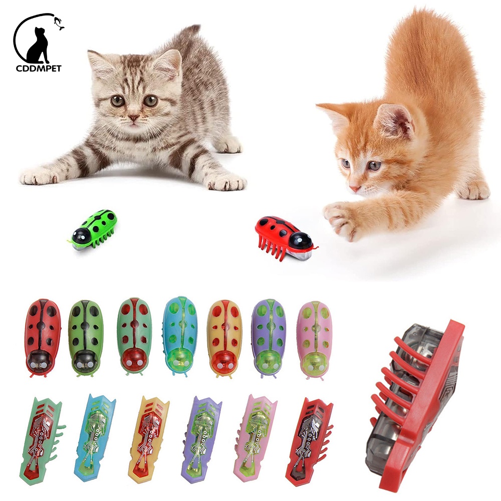 【CDDMPET】ของเล่นสัตว์เลี้ยง ลูกแมวไฟฟ้า แบบพลาสติก ดึงดูดแมล