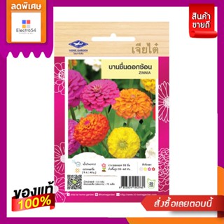 บานชื่นดอกซ้อนคละสี ZINNIA